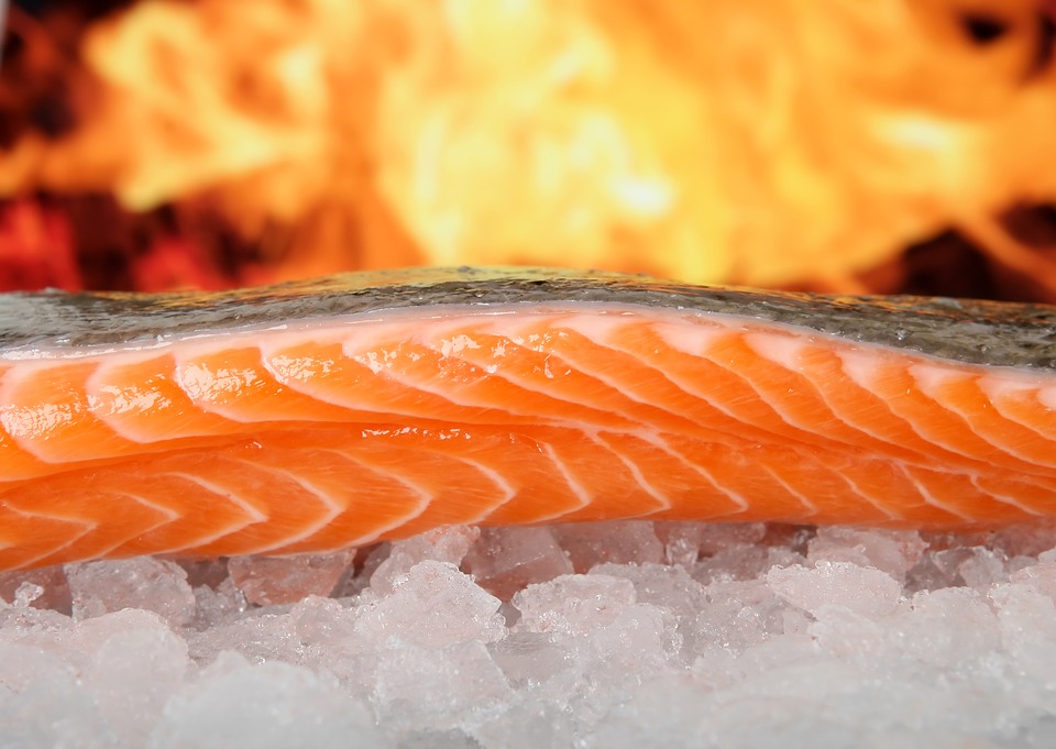 salmon-1238662_960_720